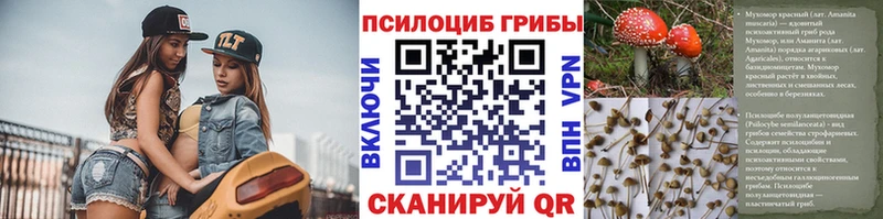 Псилоцибиновые грибы MAGIC MUSHROOMS  Коломна 